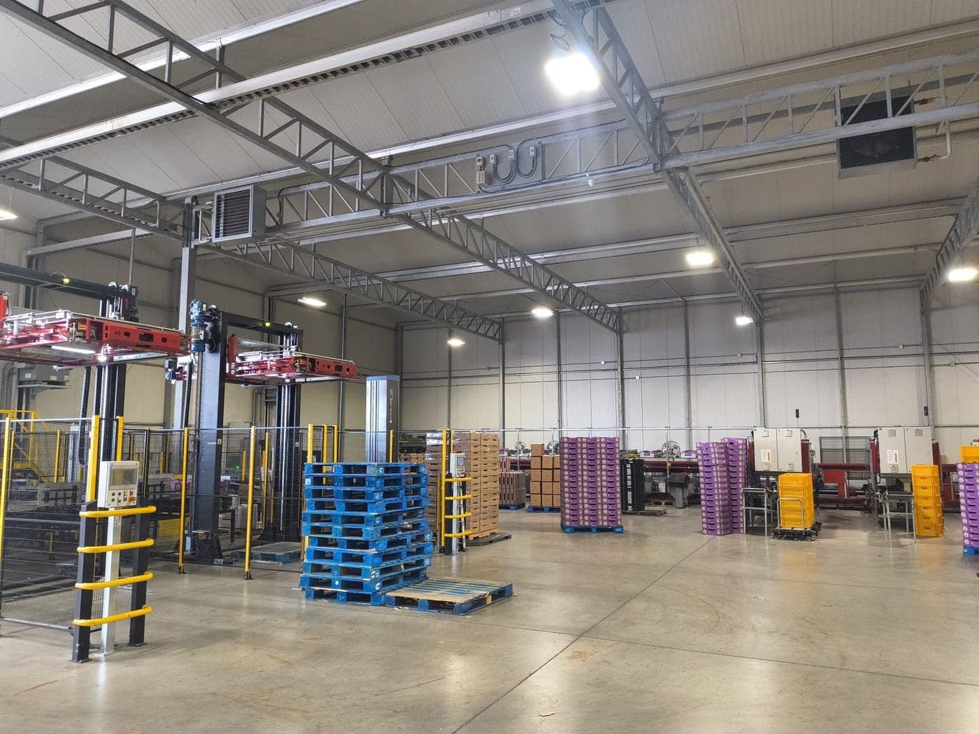 Inside a packing warehouse: automated pallet-handling machines, stacked pallets and boxed product ready to ship.